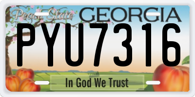 GA license plate PYU7316