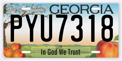 GA license plate PYU7318