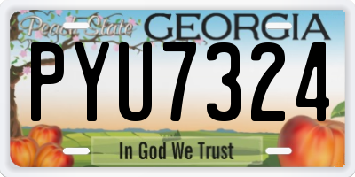 GA license plate PYU7324