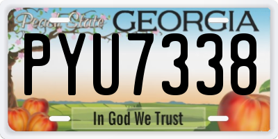 GA license plate PYU7338