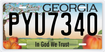 GA license plate PYU7340