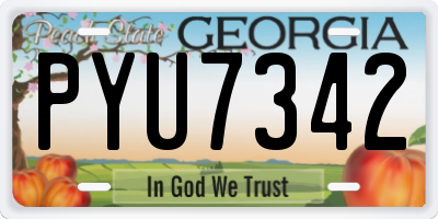 GA license plate PYU7342