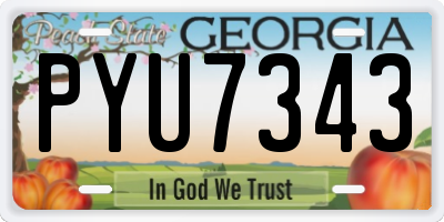 GA license plate PYU7343