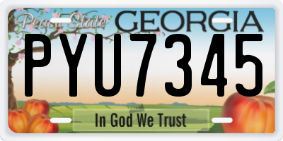 GA license plate PYU7345