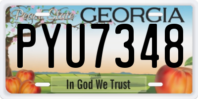 GA license plate PYU7348