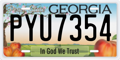 GA license plate PYU7354
