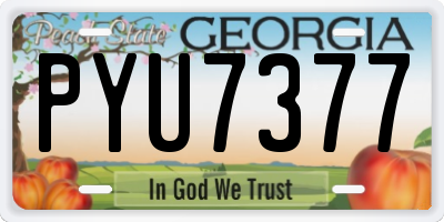 GA license plate PYU7377