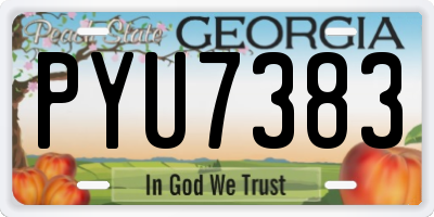 GA license plate PYU7383