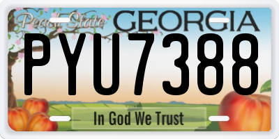GA license plate PYU7388
