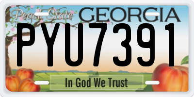 GA license plate PYU7391
