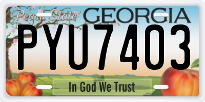 GA license plate PYU7403