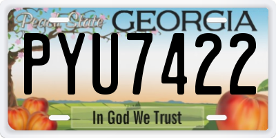 GA license plate PYU7422