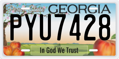 GA license plate PYU7428
