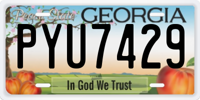 GA license plate PYU7429