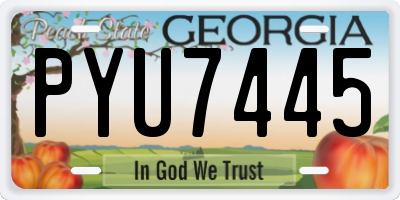 GA license plate PYU7445