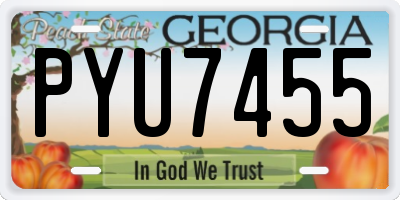 GA license plate PYU7455