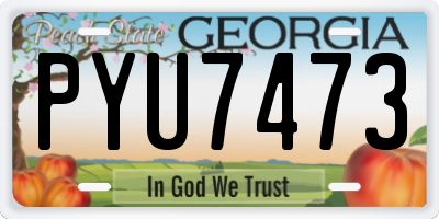 GA license plate PYU7473