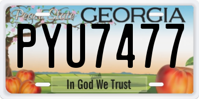 GA license plate PYU7477