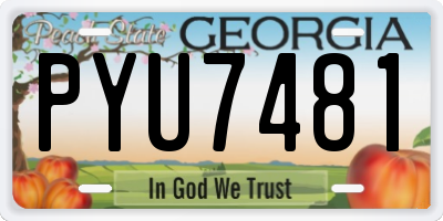 GA license plate PYU7481