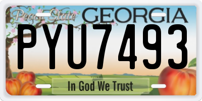GA license plate PYU7493