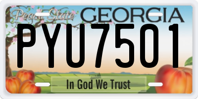 GA license plate PYU7501