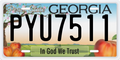 GA license plate PYU7511