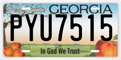 GA license plate PYU7515