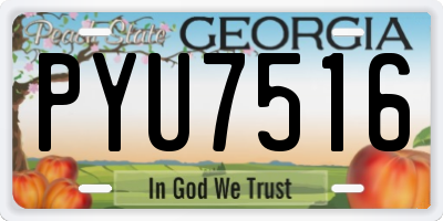 GA license plate PYU7516