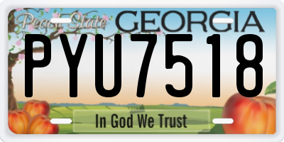 GA license plate PYU7518