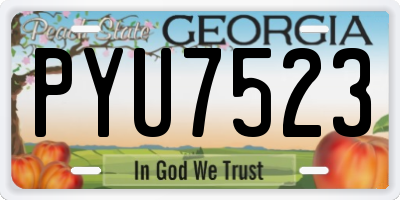 GA license plate PYU7523