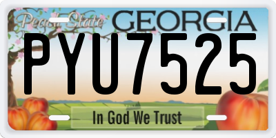 GA license plate PYU7525