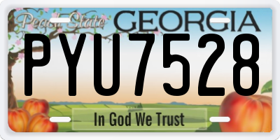 GA license plate PYU7528