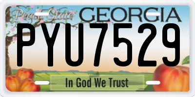 GA license plate PYU7529