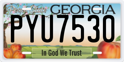 GA license plate PYU7530
