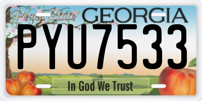 GA license plate PYU7533
