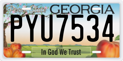 GA license plate PYU7534
