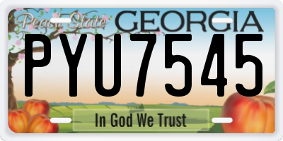 GA license plate PYU7545