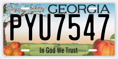 GA license plate PYU7547