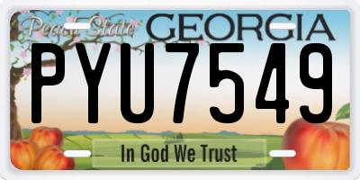GA license plate PYU7549