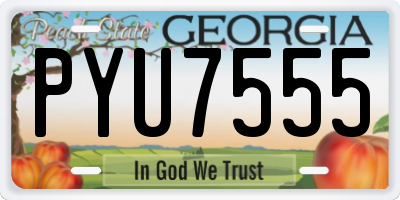 GA license plate PYU7555