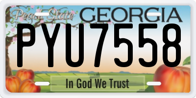 GA license plate PYU7558