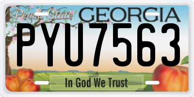GA license plate PYU7563