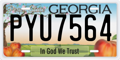 GA license plate PYU7564