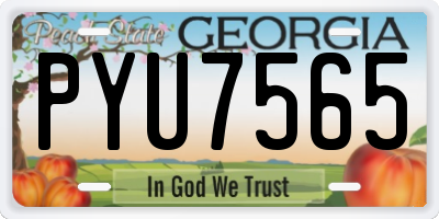 GA license plate PYU7565