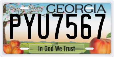 GA license plate PYU7567