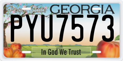 GA license plate PYU7573