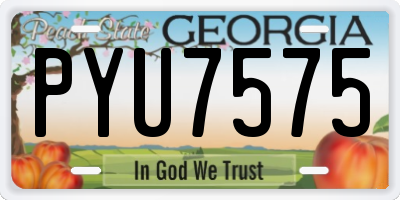 GA license plate PYU7575