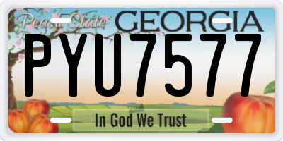GA license plate PYU7577
