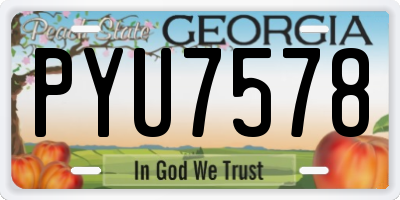 GA license plate PYU7578