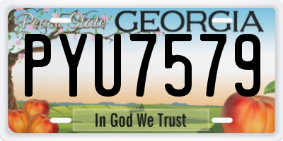 GA license plate PYU7579